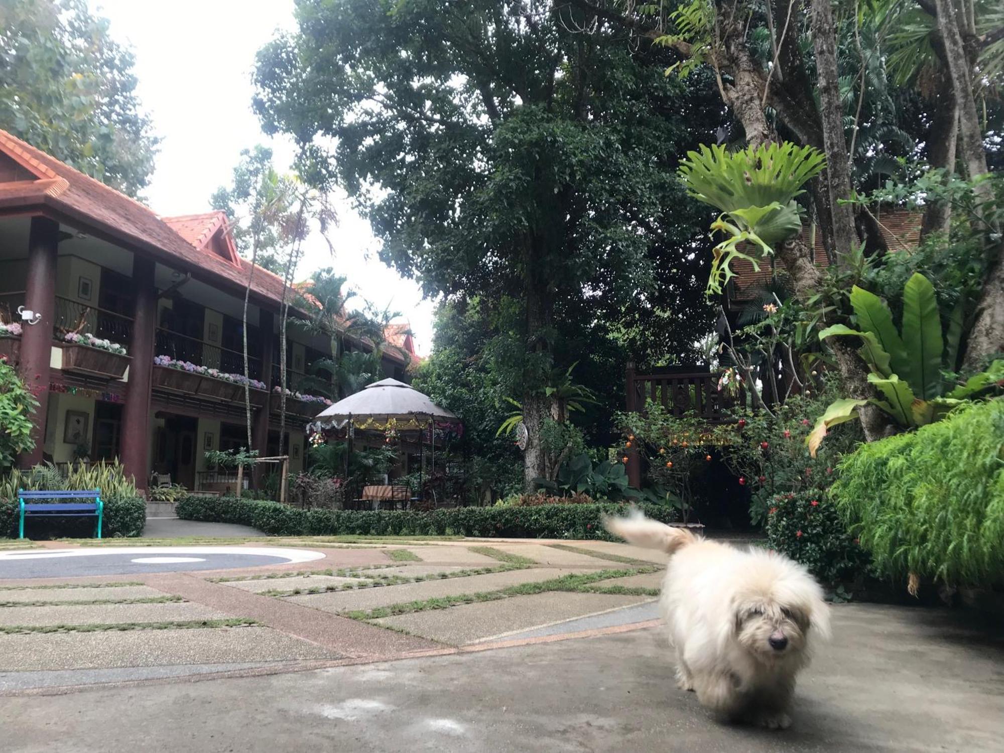 Kawila126 Hotel เชียงใหม่ ภายนอก รูปภาพ